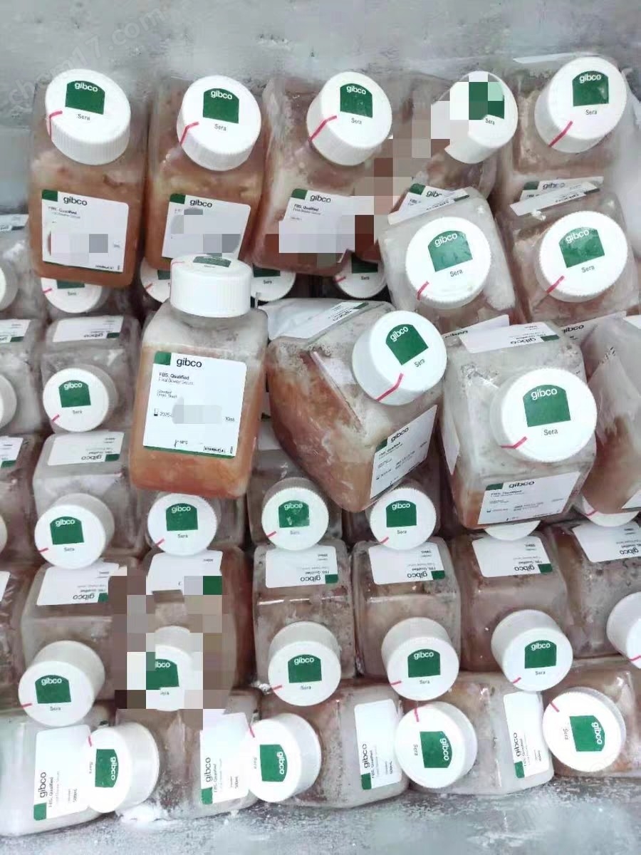 gibco血清